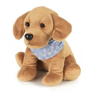 Labrador Alfie